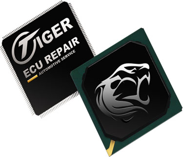 Tiger ECU Repair